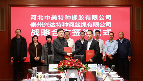 河北衡水市政企代表团莅临兴达考察，兴达&中美达成战略合作！